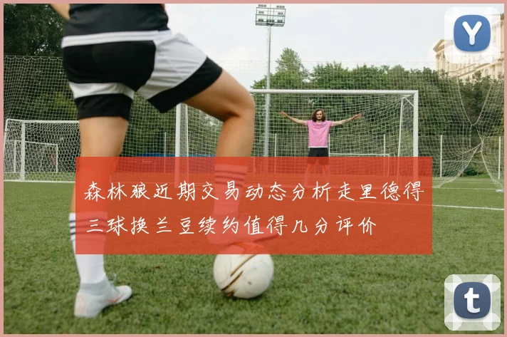 森林狼近期交易动态分析走里德得三球换兰豆续约值得几分评价